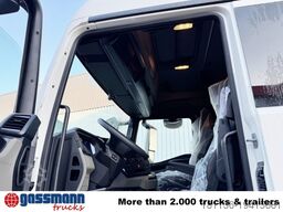 MAN TGS 18.480 BL 4x2, MEHRFACH VORHANDEN!