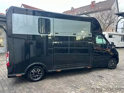 Renault Master Haras 1-2 Pferde Automatik Aluaufbau