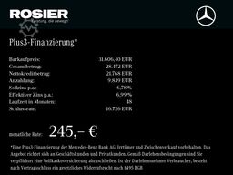 Mercedes-Benz Vito 116 CDI Kasten Extralang Holz Kamera DAB