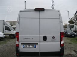 FIAT Ducato Maxi