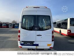 MERCEDES-BENZ Sprinter/515CDI/Rollstuhllift