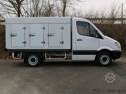 MERCEDES-BENZ Sprinter 310 ColdCar 3+3 Türen -33°C
