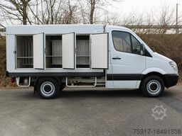 MERCEDES-BENZ Sprinter 310 ColdCar 3+3 Türen -33°C