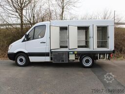 MERCEDES-BENZ Sprinter 310 ColdCar 3+3 Türen -33°C