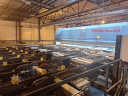 FINSCAN Boardmaster + Nova