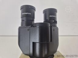 Olympus CX31RBSF
