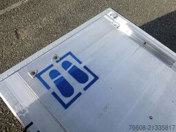 RENAULT NEW Master Koffer BÄR LBW Ultralight!