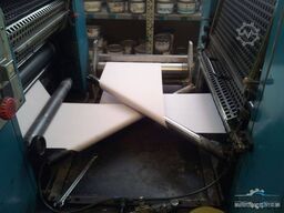 Edelmann Junior Print DR2450