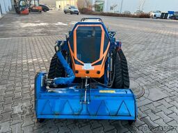 IRUS Irus Twin Raupe / Mulcher / Funk