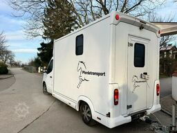 Renault Master Haras 1-2 Pferde