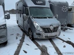 RENAULT Master STX Haras 3 Sitzer