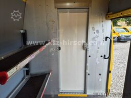 FIAT Ducato Maxi L5H3 Durchgangstüre Regale HOCHDACH