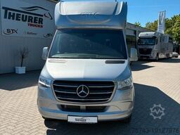 MERCEDES-BENZ STX Sprinter  GG 4,100KG  Haras Hengste