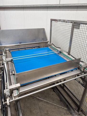 2012 FoodeQ TVB400/4350 tipper with discharge belt and cross conveyor FoodeQ TVB400/4350