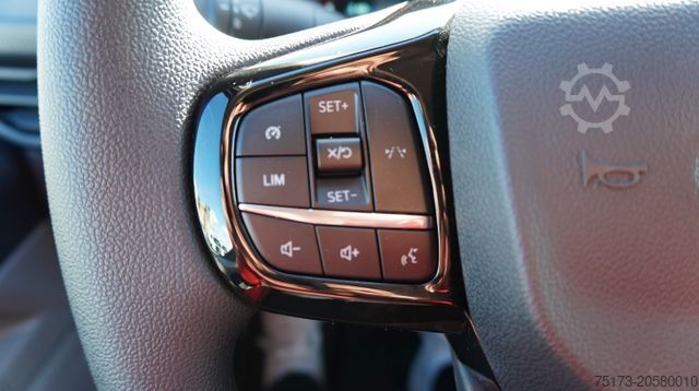 Panel van FORD Transit Custom 320L1 Kasten Trend 2.5L PHEV Kam