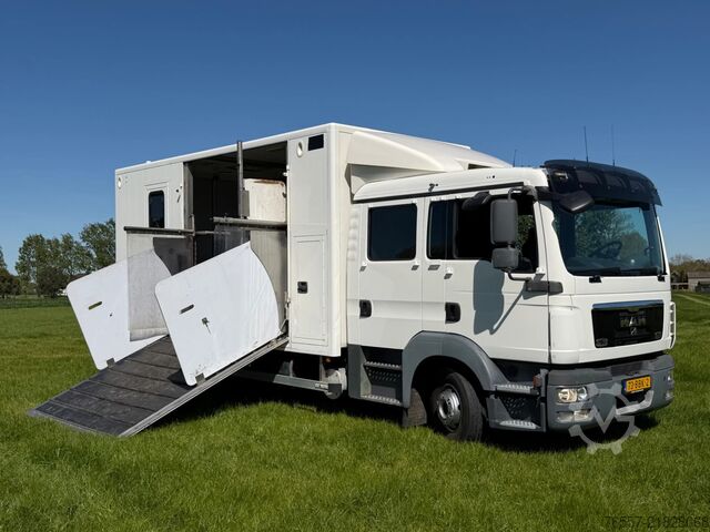MAN TGL 12.180 TGL 12.180 HORSE TRUCK. MAN TGL 12.180 TGL 12.180 PAARDENWAGEN.