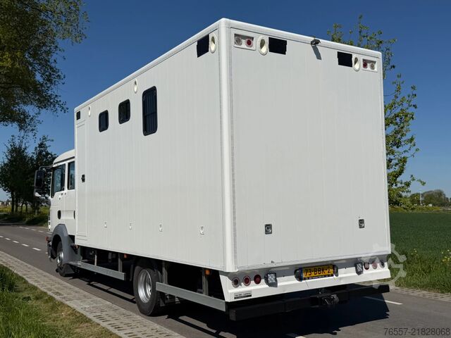 MAN TGL 12.180 TGL 12.180 HORSE TRUCK. MAN TGL 12.180 TGL 12.180 PAARDENWAGEN.