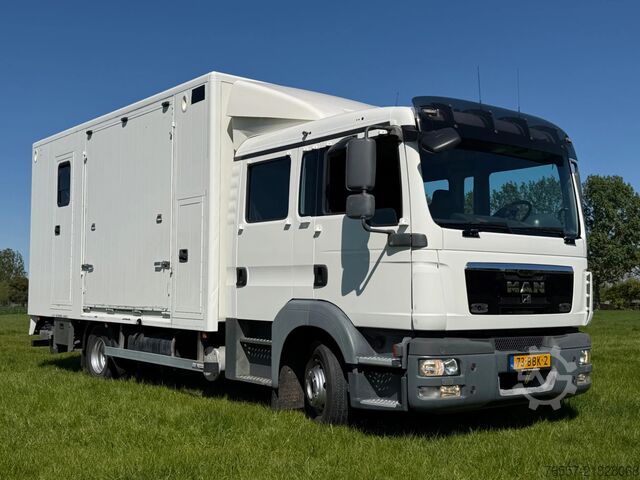 MAN TGL 12.180 TGL 12.180 HORSE TRUCK. MAN TGL 12.180 TGL 12.180 PAARDENWAGEN.