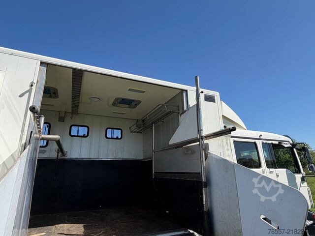 MAN TGL 12.180 TGL 12.180 HORSE TRUCK. MAN TGL 12.180 TGL 12.180 PAARDENWAGEN.