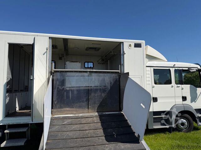 MAN TGL 12.180 TGL 12.180 HORSE TRUCK. MAN TGL 12.180 TGL 12.180 PAARDENWAGEN.