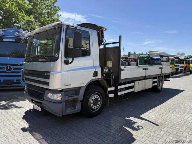 Flatbed truck Daf CF250 4X2 Kran Hiab 099-2