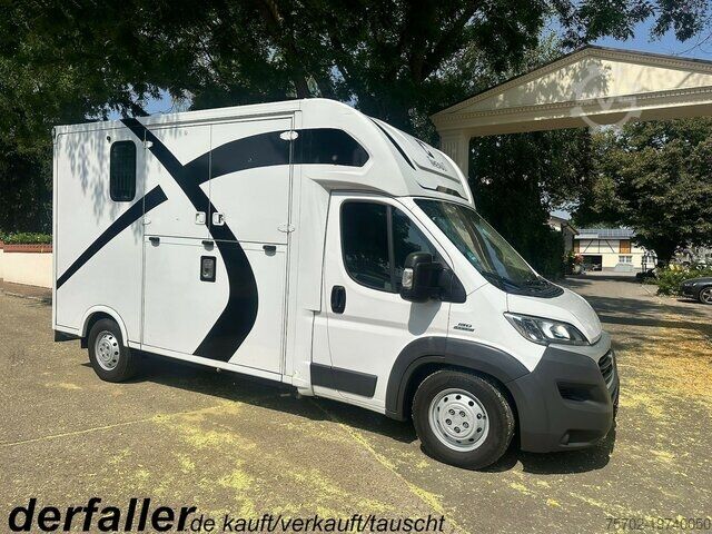 Viehtransporter Fiat Ducato Theault 1-2 Pferde mit Hengsttrennung