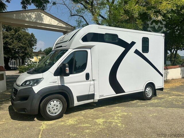 Viehtransporter Fiat Ducato Theault 1-2 Pferde mit Hengsttrennung