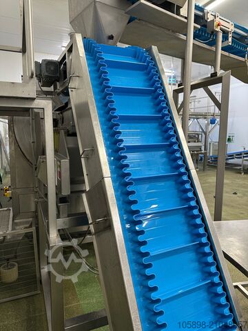 Förderbänder aus Käserei Various Various