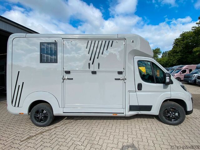 Livestock transporter OPEL Movano AKX 3 Sitzer Haras  Automatik