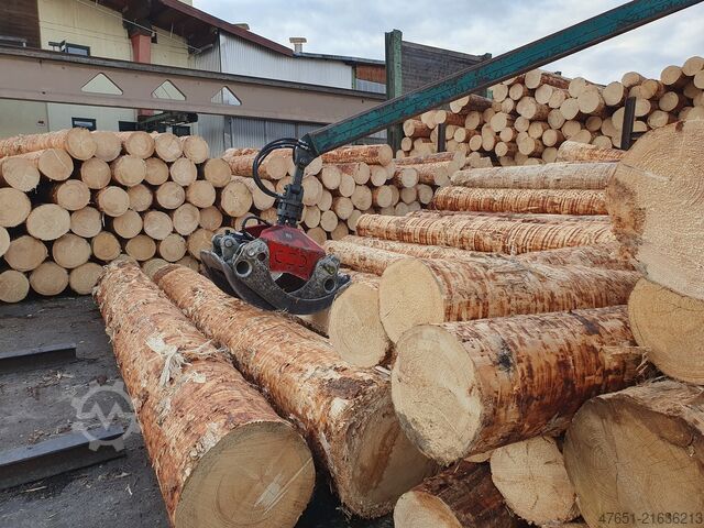 Log yard machinery Baljer & Zembrod Portalkran 10 Meter Spur