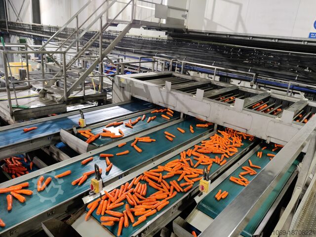 CARROT LINE AND GRADER SYSTEM CARROT LINE GRADER SYSTEM