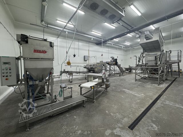IQF-Beeren, komplette Reinigungs- und Verpackungslinie Tomra Mega JAM Mesutronic Cassel LS9000 Xray shark
