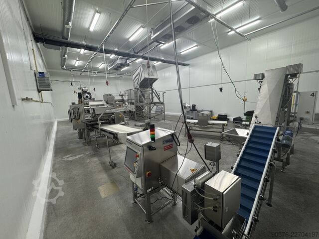 IQF-Beeren, komplette Reinigungs- und Verpackungslinie Tomra Mega JAM Mesutronic Cassel LS9000 Xray shark