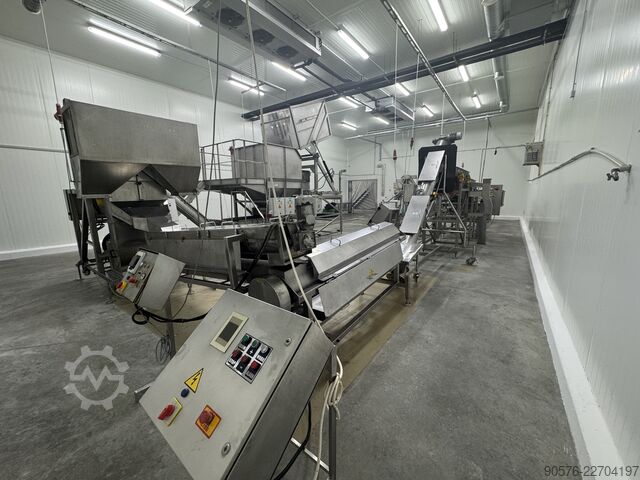 IQF-Beeren, komplette Reinigungs- und Verpackungslinie Tomra Mega JAM Mesutronic Cassel LS9000 Xray shark