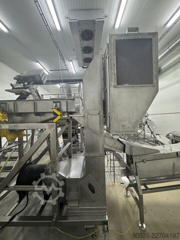 IQF-Beeren, komplette Reinigungs- und Verpackungslinie Tomra Mega JAM Mesutronic Cassel LS9000 Xray shark