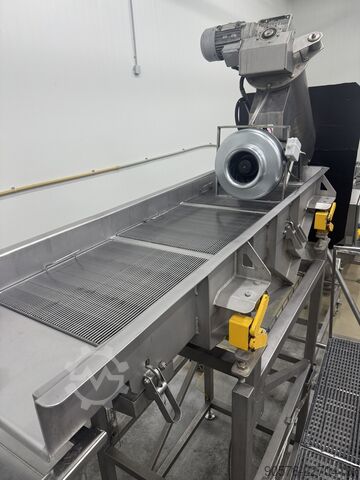 IQF-Beeren, komplette Reinigungs- und Verpackungslinie Tomra Mega JAM Mesutronic Cassel LS9000 Xray shark