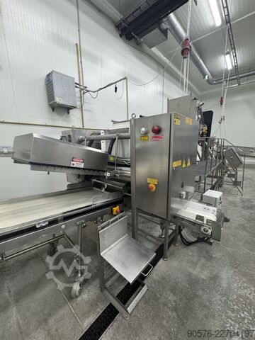 IQF-Beeren, komplette Reinigungs- und Verpackungslinie Tomra Mega JAM Mesutronic Cassel LS9000 Xray shark