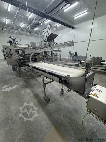 IQF-Beeren, komplette Reinigungs- und Verpackungslinie Tomra Mega JAM Mesutronic Cassel LS9000 Xray shark