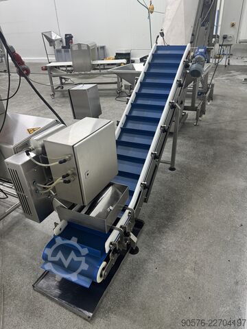 IQF-Beeren, komplette Reinigungs- und Verpackungslinie Tomra Mega JAM Mesutronic Cassel LS9000 Xray shark
