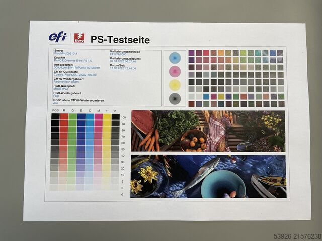 Digitaldruckmaschine Ricoh Pro C9210 incl. Fiery, stacker Vacuum Feed