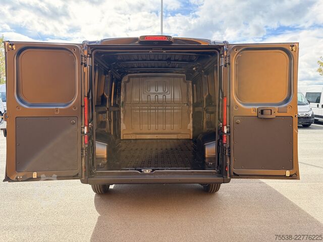 Panel van Fiat Ducato