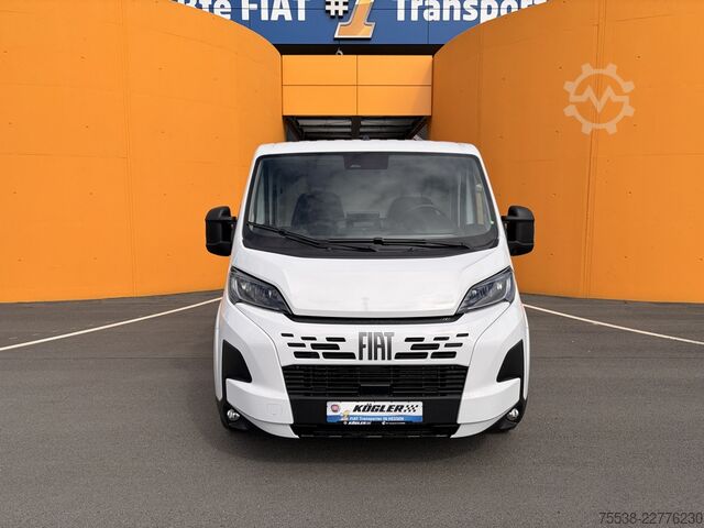 Panel van Fiat Ducato