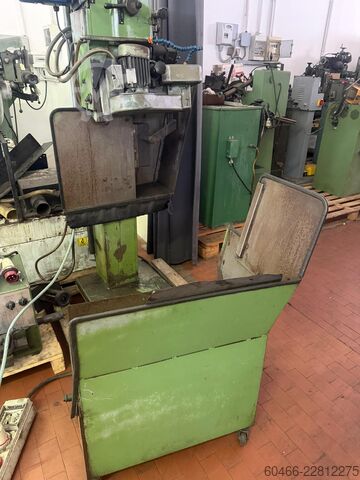 Bandsäge Schleifmaschine Pedrielli PGL80