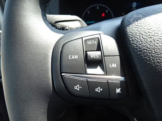 Minibus FORD Transit 350L3H2 Trend 2xKlima WiPa Lift KMP BTW