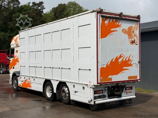 Cattle truck DAF XF460FT 6x2 BL EU6 3.Stock I.R.M.A/Ladelift/ACC