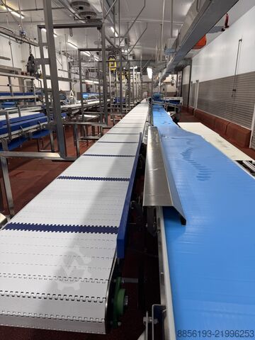 BONING CONVEYOR ENE CONVEYORS PACE MEAT BONING LINE