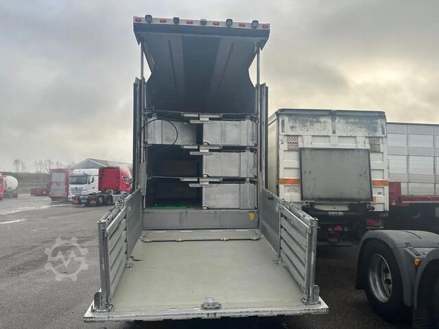 Viehtransport Berdex NO BERDEX HMK 4 stock livestock trailer SPF