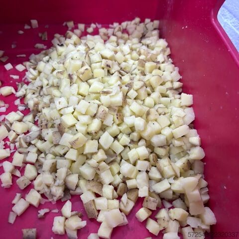 Dicing machine FAM STD 3D