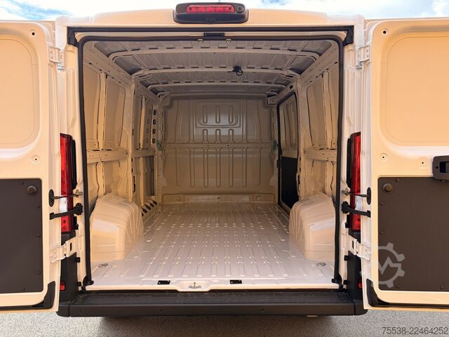 Panel van Fiat Ducato