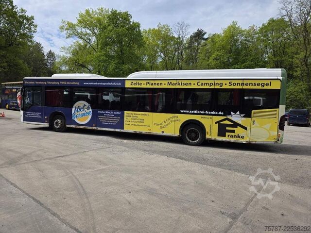Überlandbus MERCEDES-BENZ Citaro O530 LE, Gurten,  Armlehnen, Gardinen